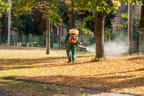 Best Pest Control Near Me in Kekoskee, WI