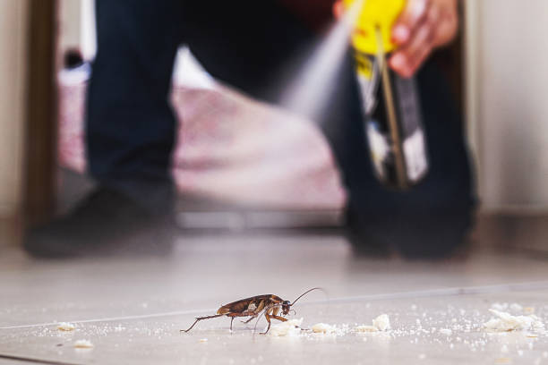 Best Mosquito Control Services  in Kekoskee, WI
